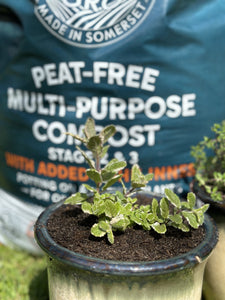 RocketGro Peat-Free Multipurpose Compost + John Innes Stage 2&3