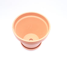 Load image into Gallery viewer, Terracotta Pot 20-31cm
