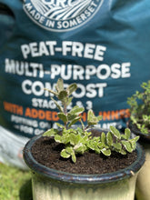 Load image into Gallery viewer, RocketGro Peat Free Multipurpose Compost 40ltr

