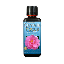 Load image into Gallery viewer, Camellia Focus 300ML
