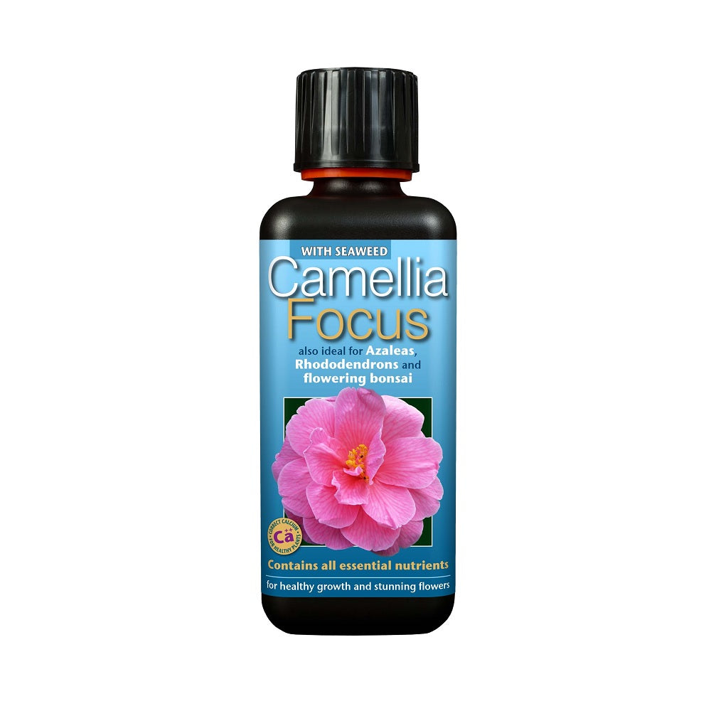 Camellia Focus 300ML