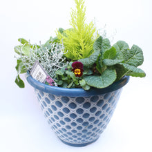 Load image into Gallery viewer, Assorted Planting in 27cm Quilt Pattern Bellpot
