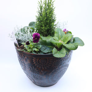 Autumn/Winter Planting in Rustic 30cm Pot
