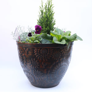 Autumn/Winter Planting in Rustic 30cm Pot