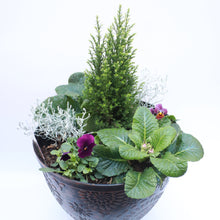 Load image into Gallery viewer, Autumn/Winter Planting in Rustic 30cm Pot
