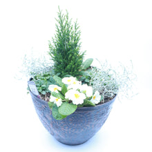 Load image into Gallery viewer, Autumn/Winter Planting in Rustic 30cm Pot
