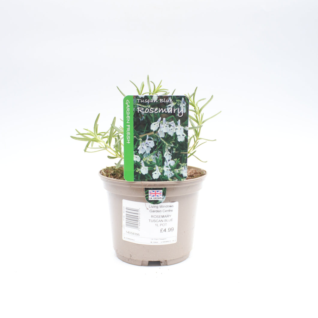 Rosemary Tuscan Blue 1L