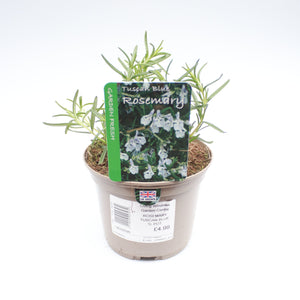 Rosemary Tuscan Blue 1L