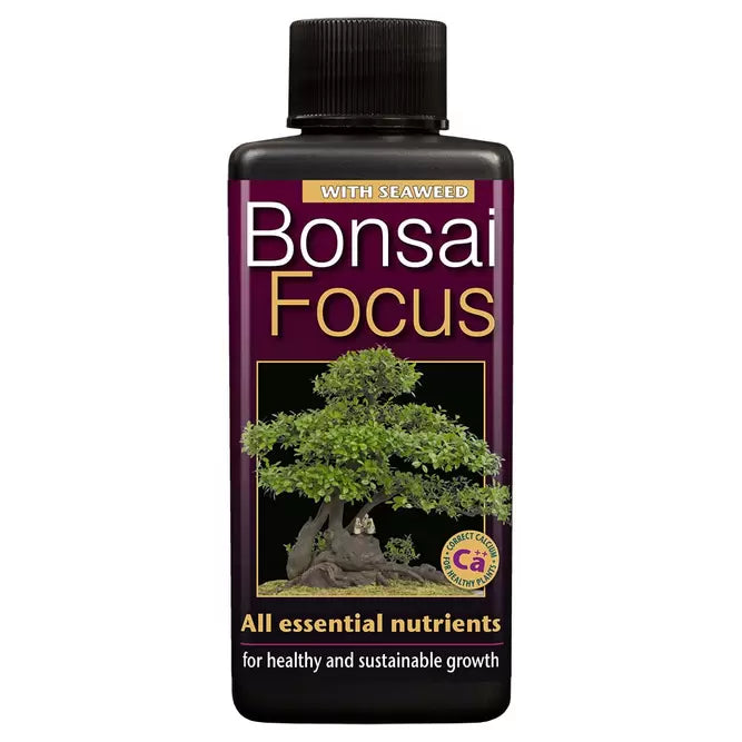 Bonsai Focus 100ML