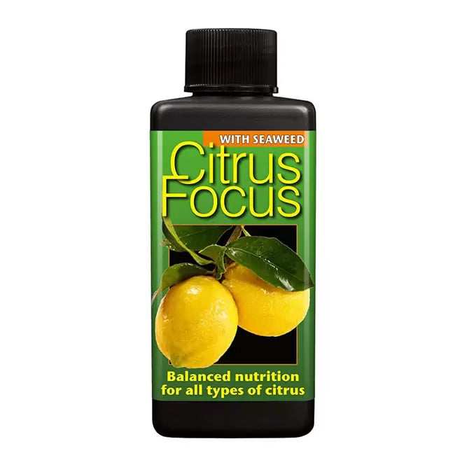 Citrus Focus 300ML
