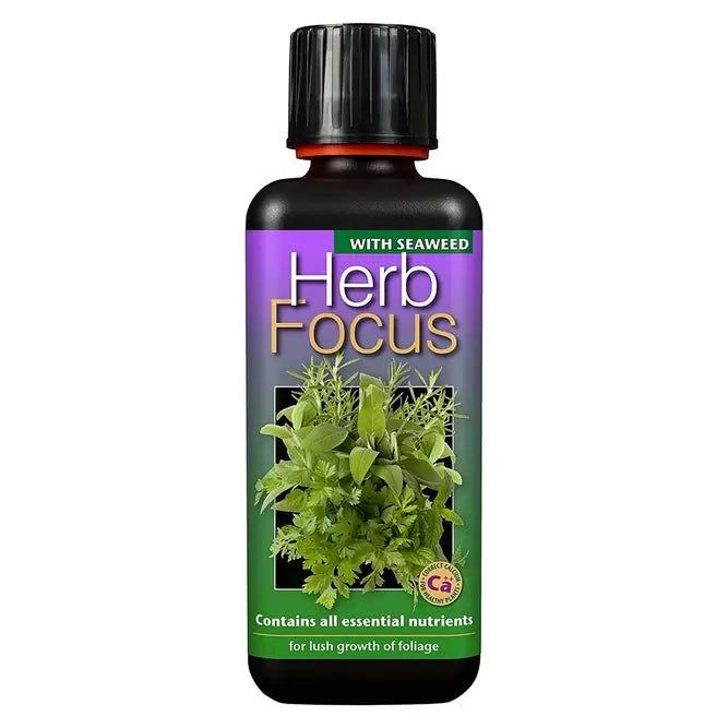 Herb Focus 300ML
