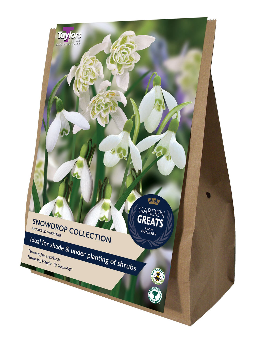 Snowdrop Collection (Galanthus) 20 Bulbs Pack