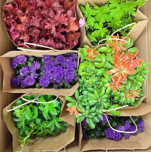 The Seasonal Plant Box