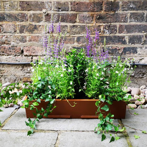 The Curved Window Box