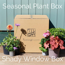 Load image into Gallery viewer, The Seasonal Plant Box
